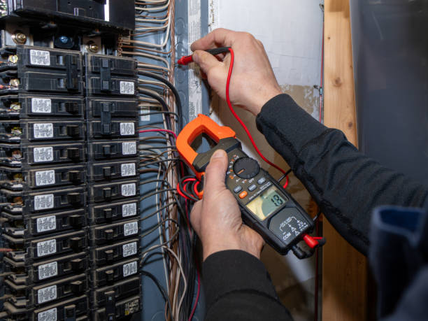Best Local Electrician Companies  in Maysville, NC